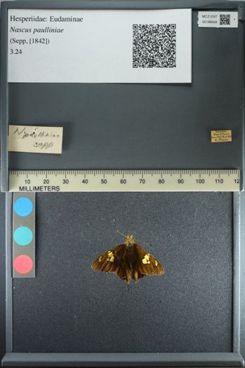 Media type: image;   Entomology 188504